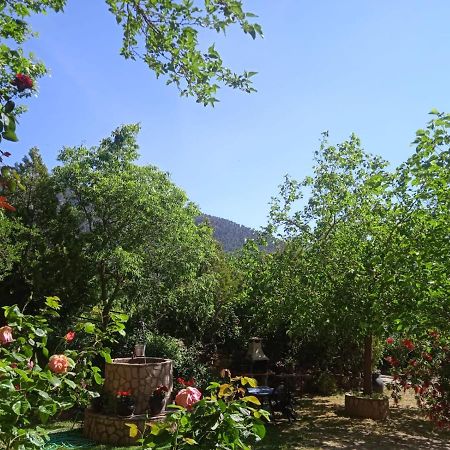 Alojamiento Macarena Burunchel Exterior foto