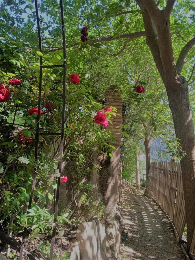 Alojamiento Macarena Burunchel Exterior foto